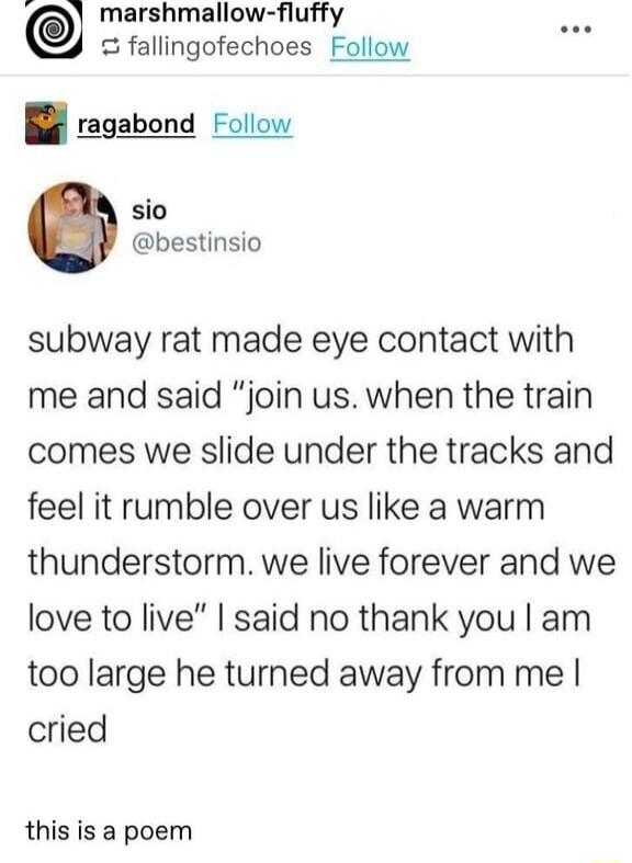 marshmallow fluffy fallingofechoes Follow ragabond Follow sio bestinsio subway rat made eye contact with me and said join us when the train comes we slide under the tracks and feel it rumble over us like a warm thunderstorm we live forever and we love to live said no thank you am too large he turned away from me cried this is a poem