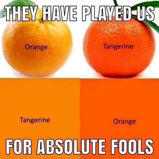 Tangerine Tangerine Orange EORIABSOLUTE FOOLS