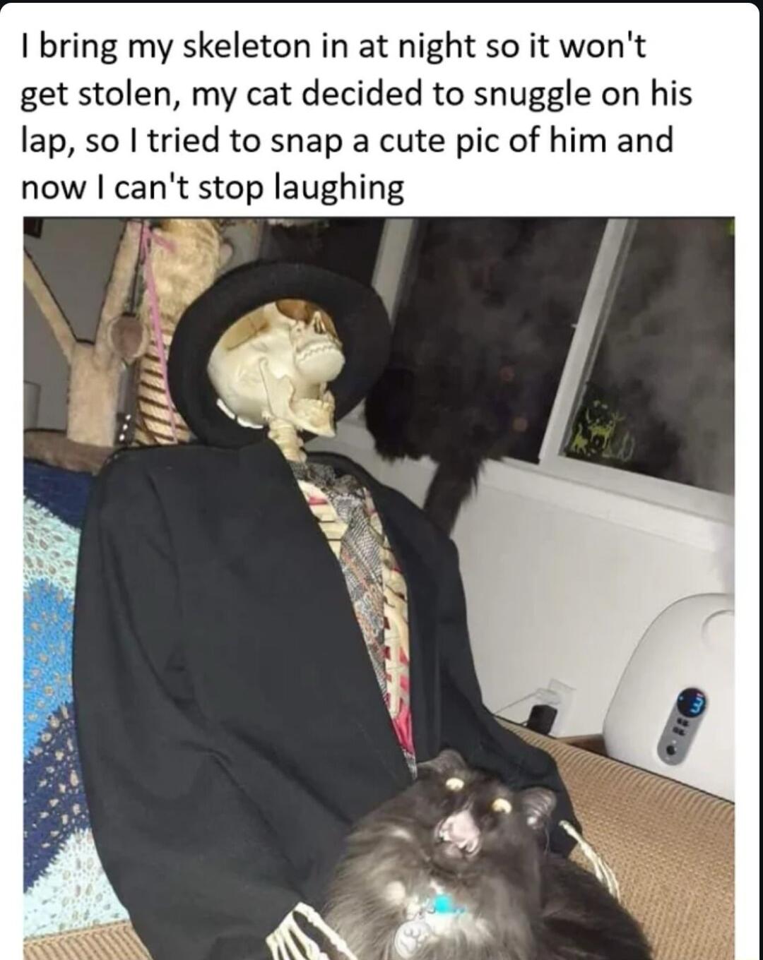 bring my skeleton in at night so it wont get stolen my cat decided to snuggle on his lap so tried to snap a cute pic of him and now cant stop laughing 4 s