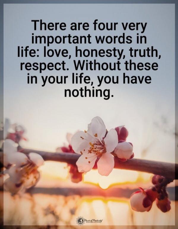 There are four very important words in life: love, honesty, truth, respect. Without these in your life, you have nothing.
