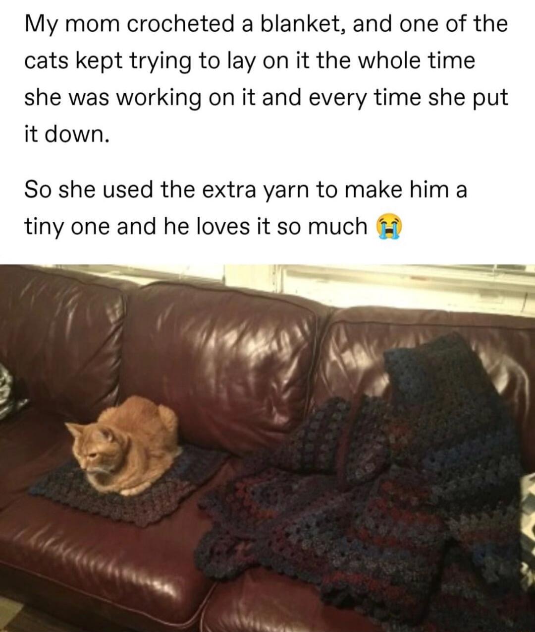My mom crocheted a blanket and one of the cats kept trying to lay on it the whole time she was working on it and every time she put it down So she used the extra yarn to make him a tiny one and he loves it so much
