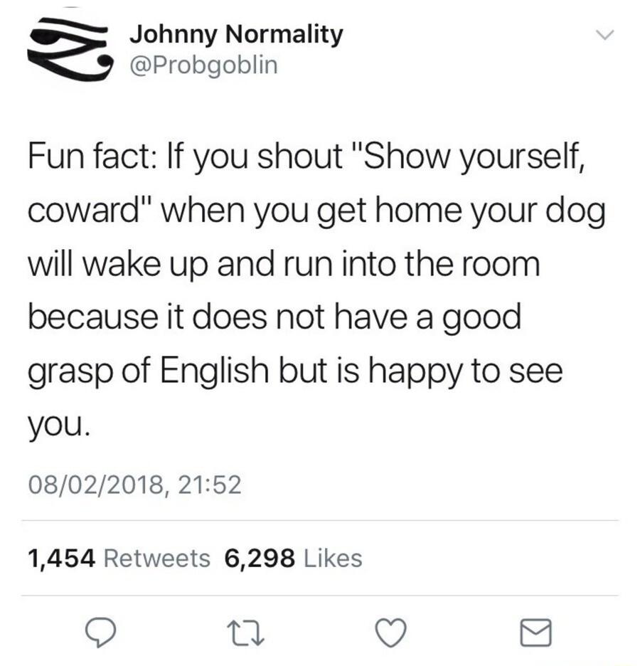 Johnny Normality Probgoblin Fun fact If you shout Show yourself coward when you get home your dog will wake up and run into the room because it does not have a good grasp of English but is happy to see you 08022018 2152 1454 Retweets 6298 Likes Q 0 Q