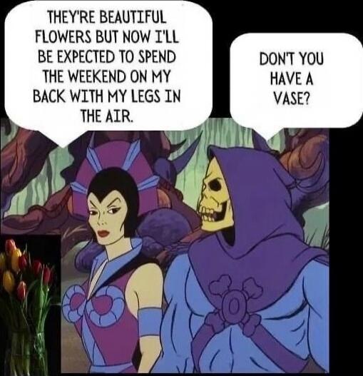 THEY'RE BEAUTIFUL FLOWERS BUT NOW I'LL BE EXPECTED TO SPEND THE WEEKEND ON MY BACK WITH MY LEGS IN THE AIR.
DON'T YOU HAVE A VASE?