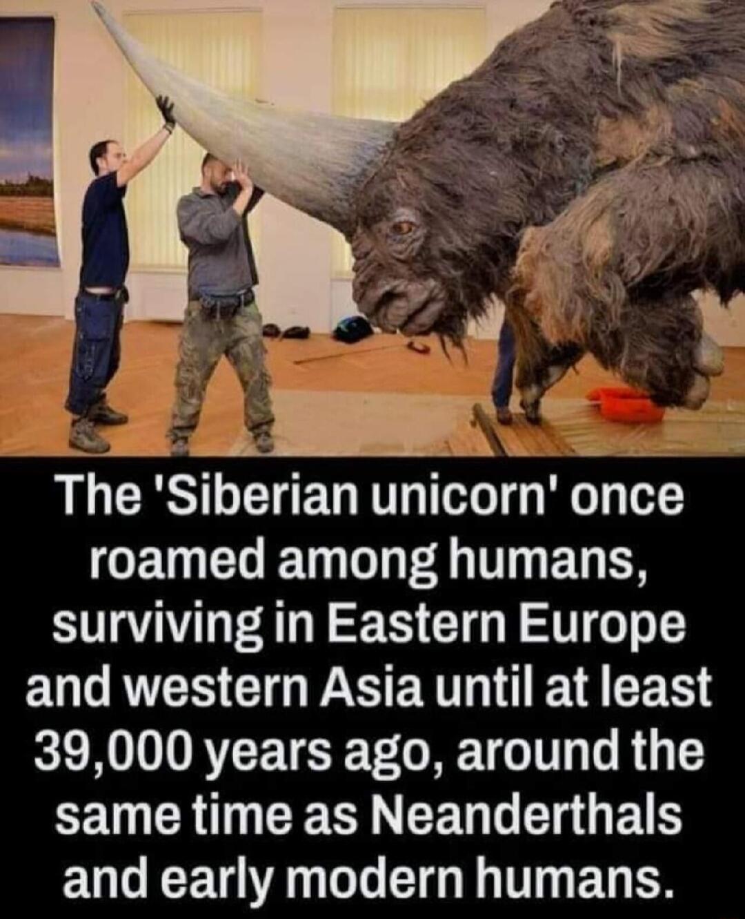 S iAA 3 The Siberian unicorn once GETELET L 40T ET TN surviving in Eastern Europe EUG RS GO PSR T R RENIATCETEET GRETGT TR CE RN CER N EERGE G ELS EUL EETE DT TG R T B S