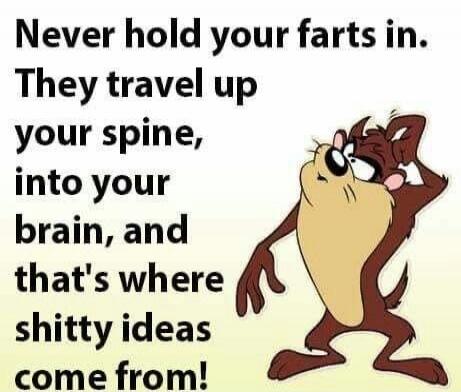 Never hold your farts in. They travel up your spine, into your brain, and that's where shitty ideas come from!