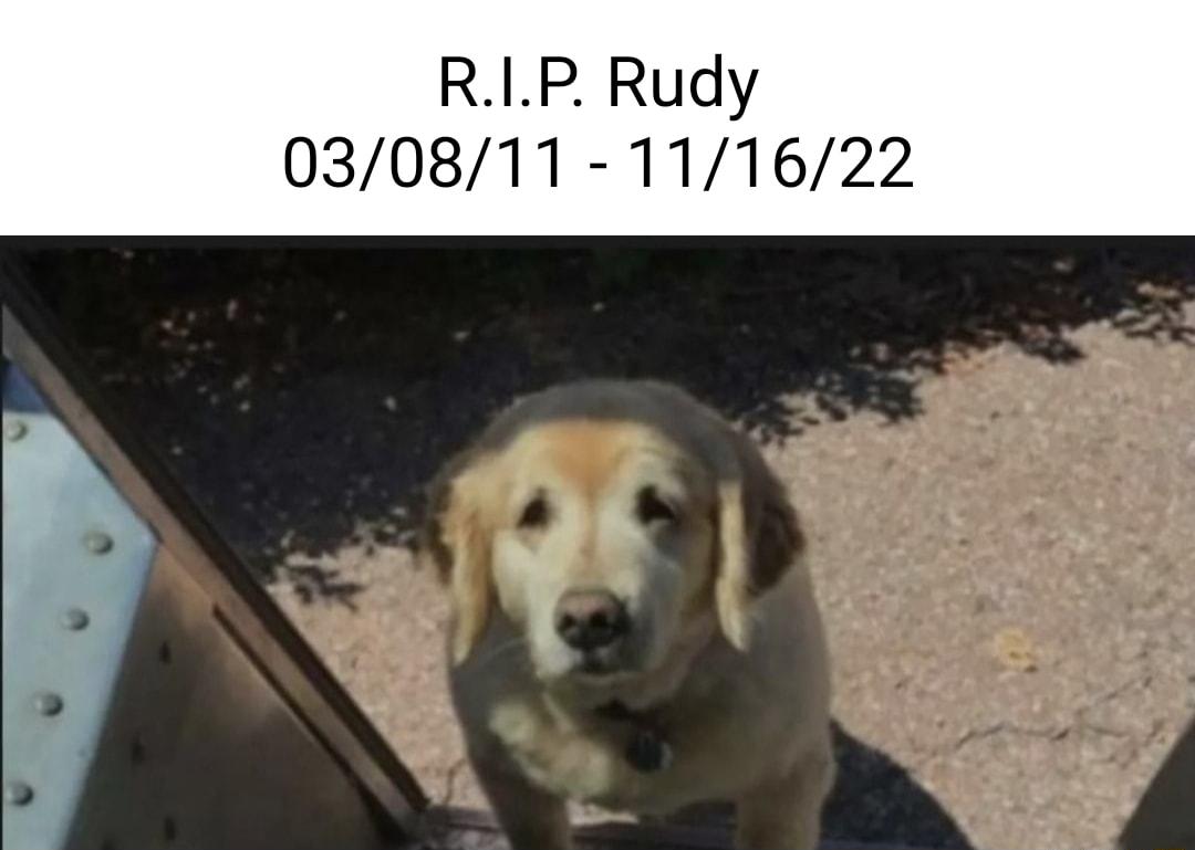 RIP Rudy 030811 111622 TS