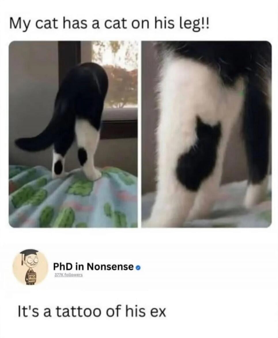 My cat has a cat on his leg!! PhD in Nonsense 377K followers It's a tattoo of his ex