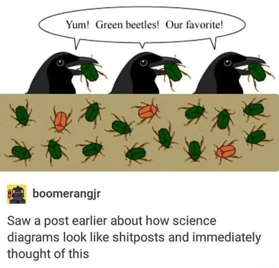 P smar dv w 5 boomerangjr Saw a post earlier about how science diagrams look like shitposts and immediately thought of this