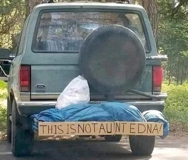 THIS IS NOT AUNT EDNA!