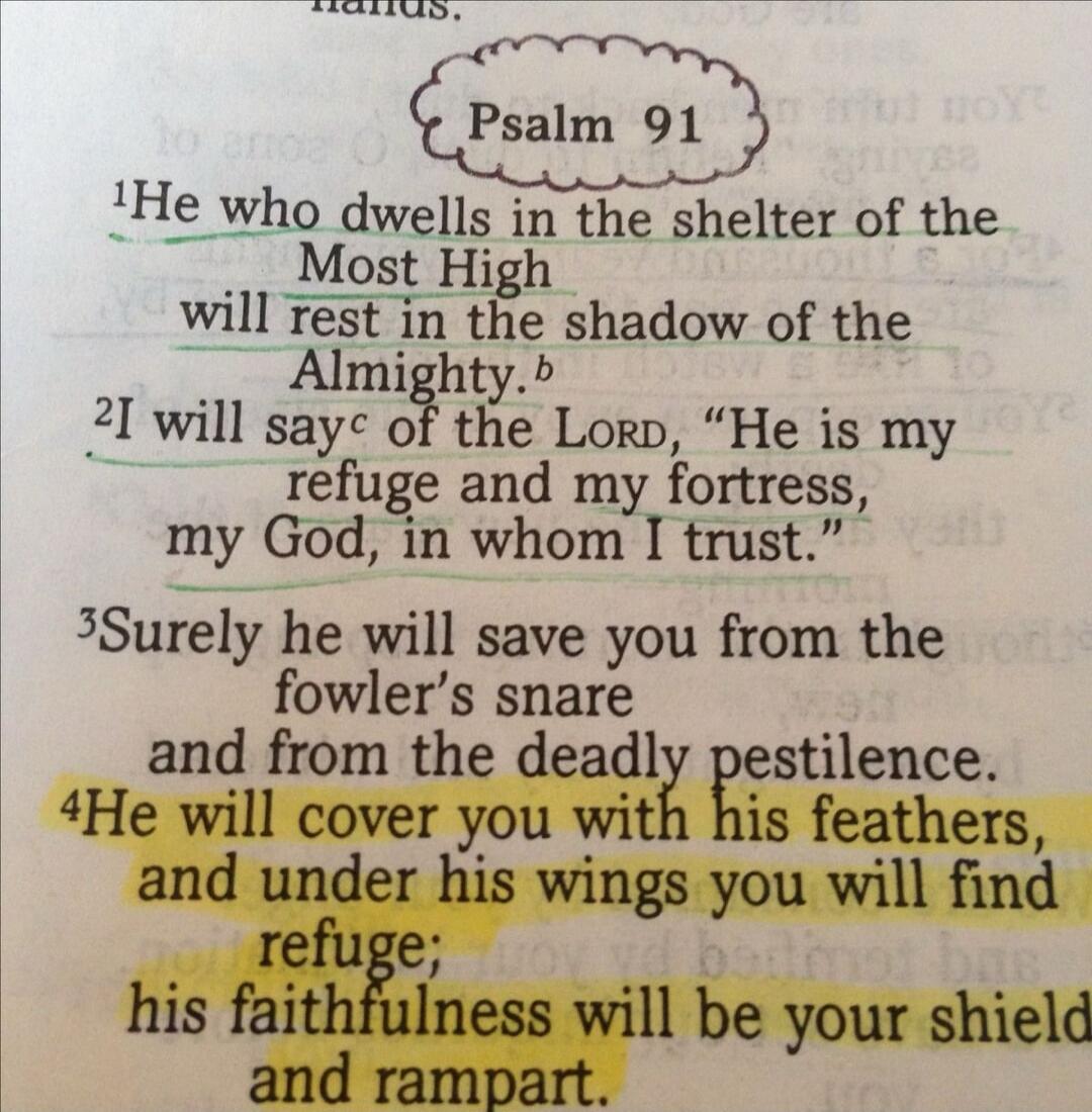 Psalm 91. He who dwells in the shelter of the Most High will rest in the shadow of the Almighty. I will say of the Lord, 