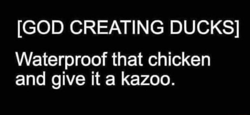 GOD CREATING DUCKS Waterproof that chicken and give it a kazoo