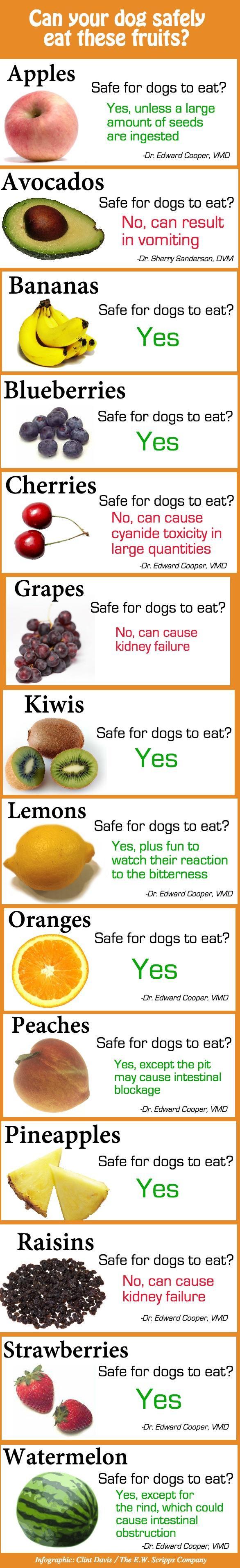 Apples Safe for dogs to eat Yes unless a large amount of seeds are ingested x Dr Edward Cooper VMD Avocados Safe for dogs to eat No Dr Sherry Sanderson DVM Bananas M Safe for dogs to eat ___ Yes Blueberries Safe for dogs to eat Yes Cherries Safe for dogs to eat P can Dr Edward Cooper VMD Grapes Safe for dogs to eat No cal kidney Safe for dogs to eat Yes Lemons Safe for dogs to eat Yes plus fun to 