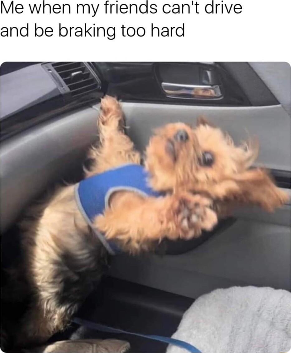 Me when my friends can and be braking too hard