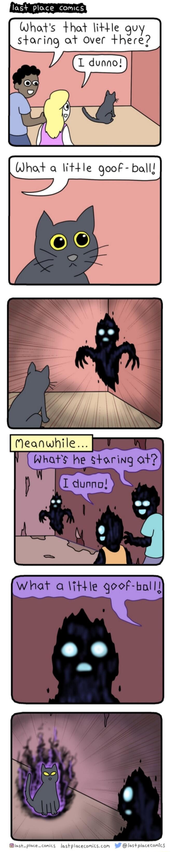 last ploce comics Whats that little guy staring ot over here Whats he staring ot