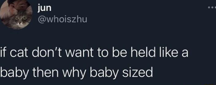 jun whoiszt whoiszhu if cat dont want to be held like a oF oA ITARWY o VA oF1 0 VAS P4 Yo