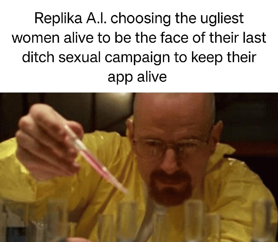 Replika Al choosing the ugliest women alive to be the face of their last ditch sexual campaign to keep their app alive A