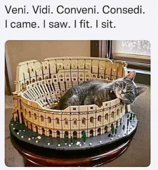 Veni Vidi Conveni Consedi came saw fit sit