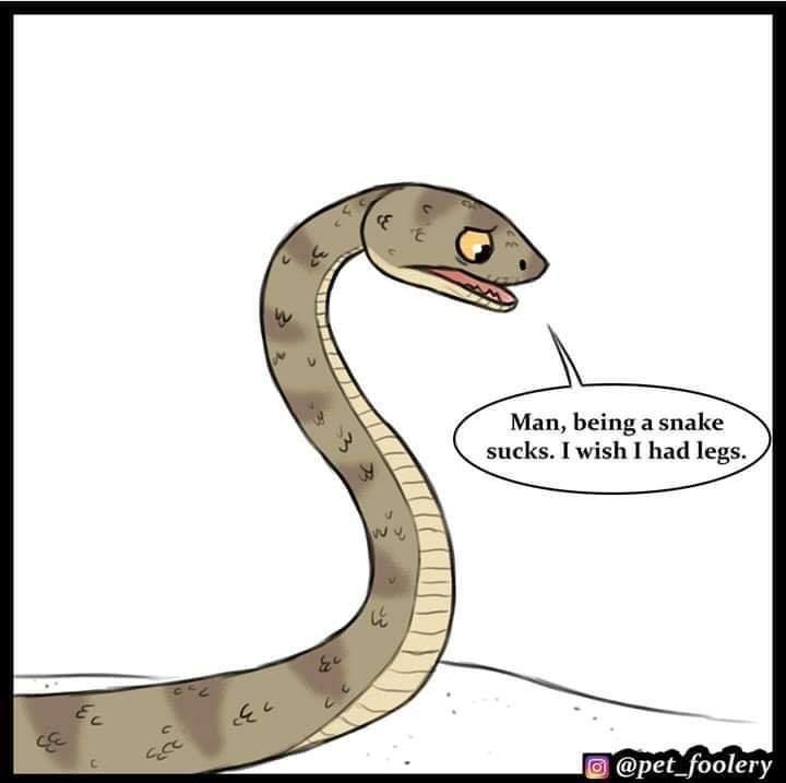 Man being a snake sucks wish I had legs pet_foolery
