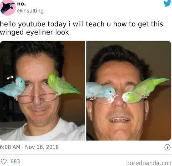 rnm J insulting hello youtube today i will teach u how to get this winged eyeliner look 608 AM Nov 16 2018 D D 68