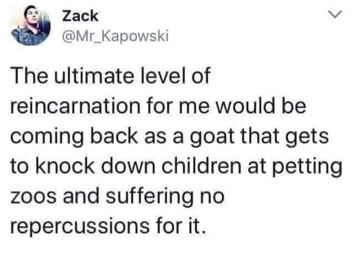Zack b Mr_Kapowski The ultimate level of reincarnation for me would be coming back as a goat that gets to knock down children at petting zoos and suffering no repercussions for it