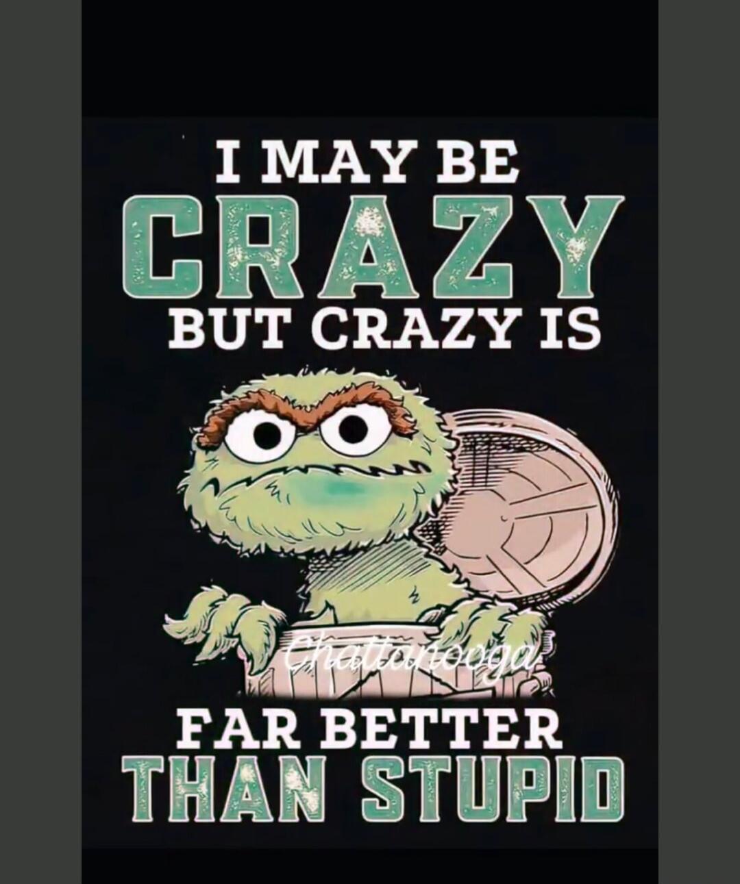 I MAY BE CRAZY BUT CRAZY IS FAR BETTER THAN STUPID