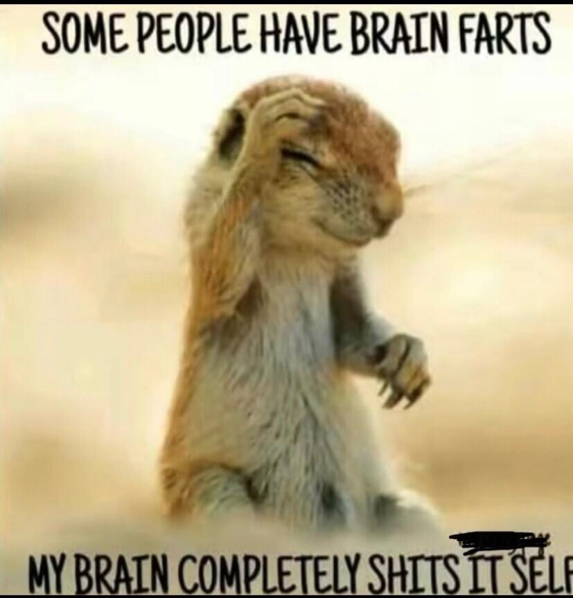 SOME PEOPLE HAVE BRAIN FARTS MY BRAIN COMPLETELY SHITS IT SELF