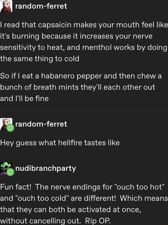 m random ferret NCETRGEIHETLE NN ELCER IV N GRELNITE its burning because it increases your nerve S EVIA O CE TR Talo N T Tl AN T R e ol o the same thing to cold ST ANCEVE N ELE IR oEloe g Ty lo R G R bunch of breath mints theyll each other out and Ill be fine urandom ferret 2 VR VR ETRG IR S CERIES nudibranchparty Fun fact The nerve endings for ouch too hot and ouch too cold are different Which me