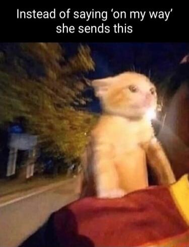 IS CERIEEN RN AEVE FYERENER OIS