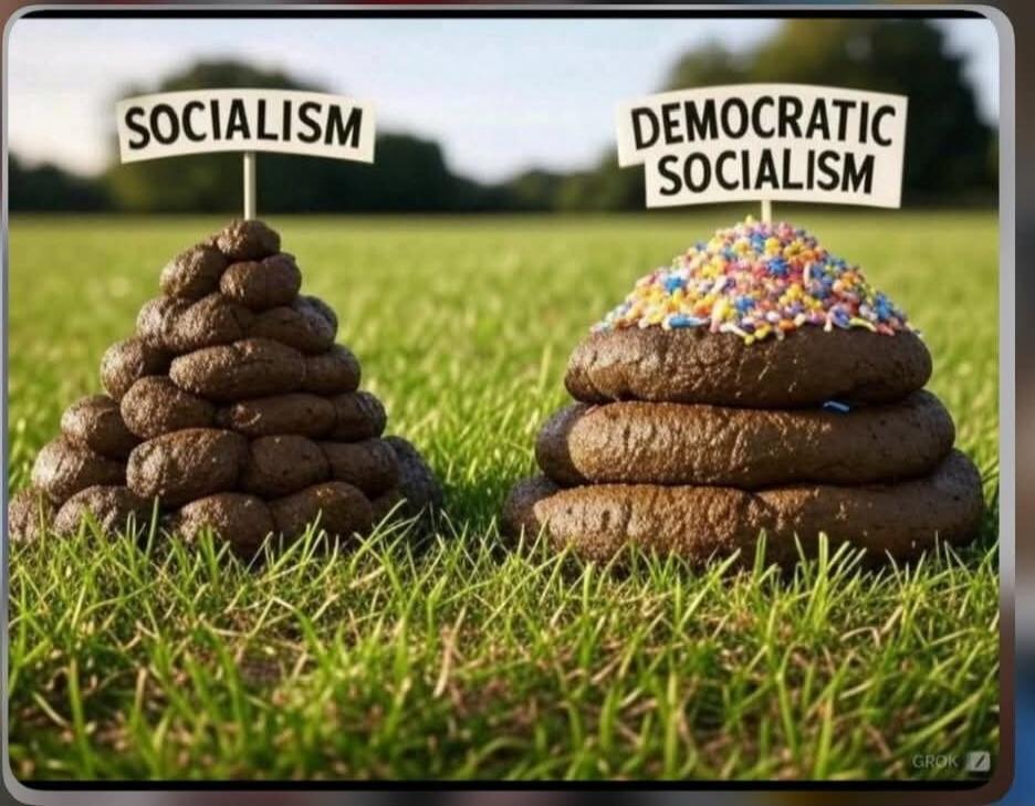SOCIALISM; DEMOCRATIC SOCIALISM