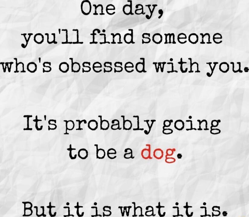 One day youll find someone whos obsessed with you Its probably going to be a dog But it is what it is
