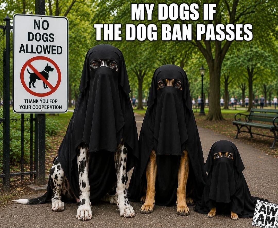 NO DOGS ALLOWED THANK YOU FOR YOUR COOPERATION MY DOGS IF THE DOG BAN PASSES