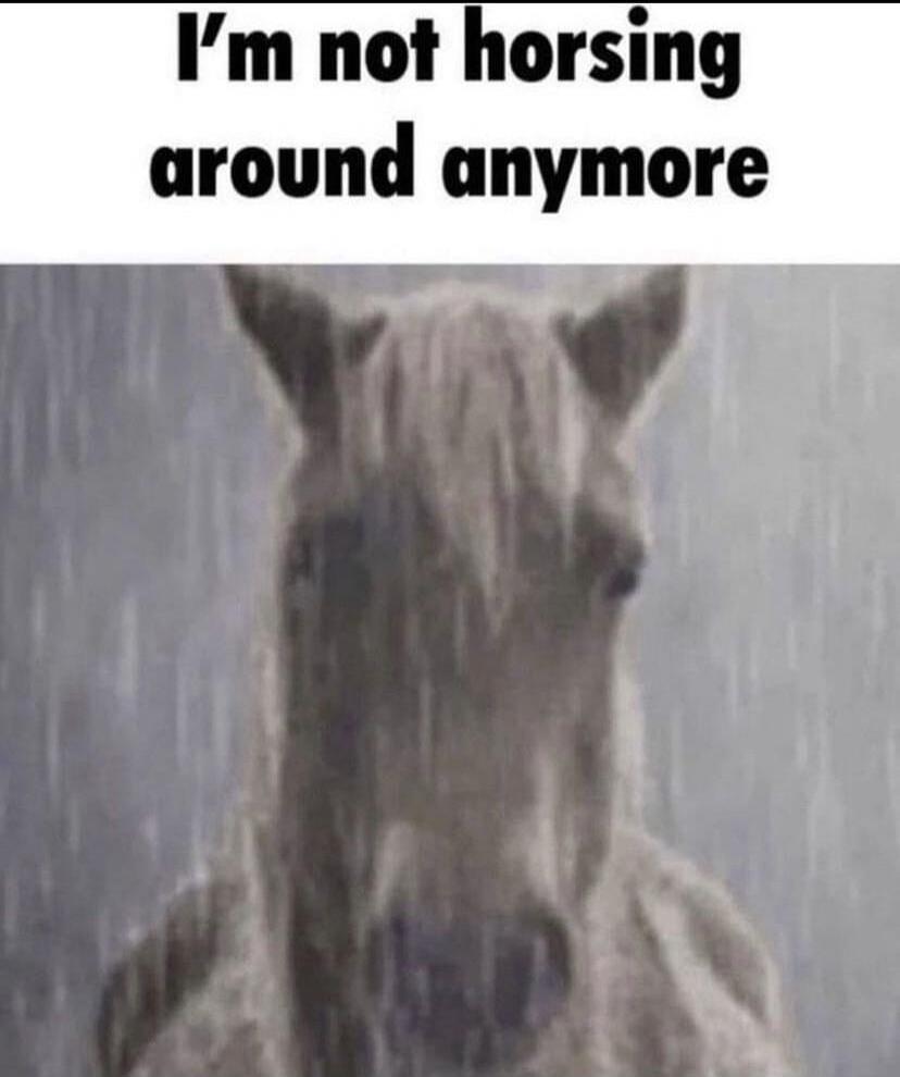 I'm not horsing around anymore