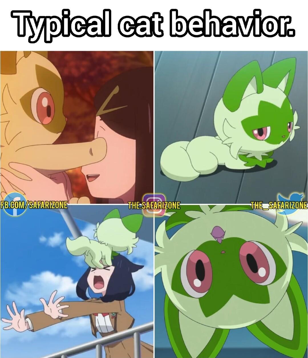 Typiea cat bahvevicr R