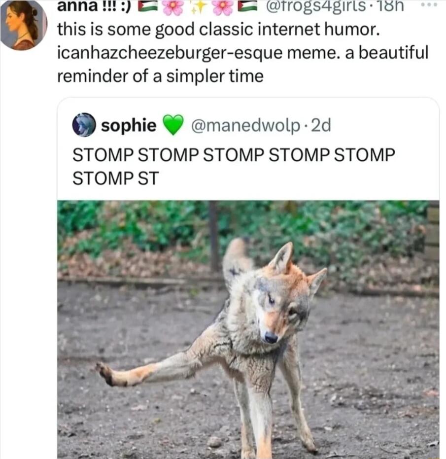 this is some good classic internet humor icanhazcheezeburger esque meme a beautiful reminder of a simpler time sophie manedwolp 2d STOMP STOMP STOMP STOMP STOMP STOMP ST