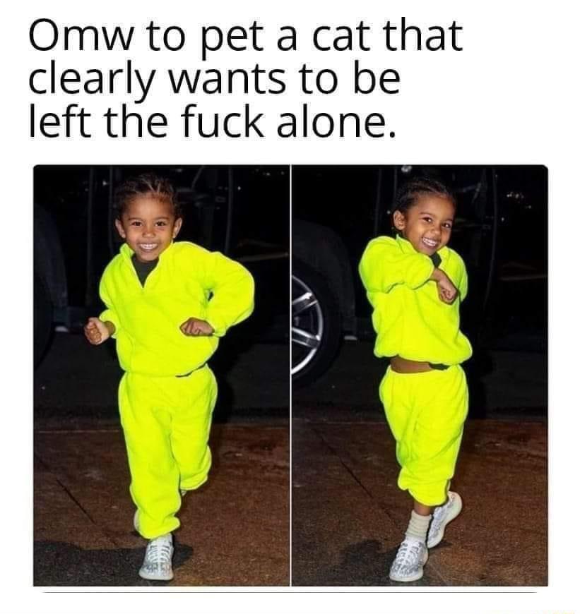 Omw to pet a cat that clearly wants to be left the fuck alone