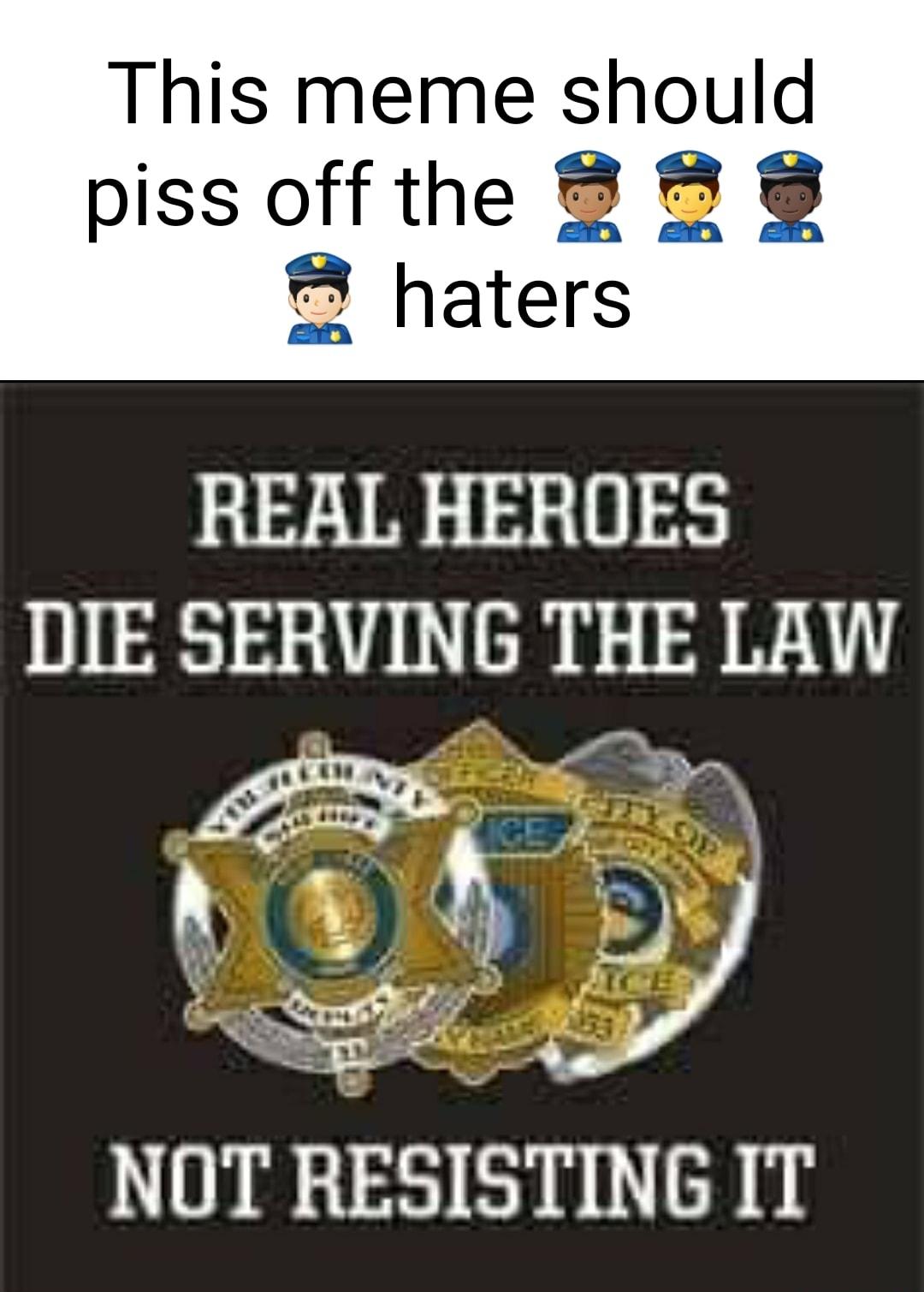 This meme should piss off the 8 B8 haters REAL HEROES DIE SERVING THE LAW Pt el W W NOT RESISTING IT