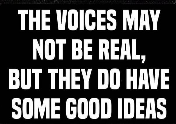 THE VOICES MAY NOT BE REAL, BUT THEY DO HAVE SOME GOOD IDEAS