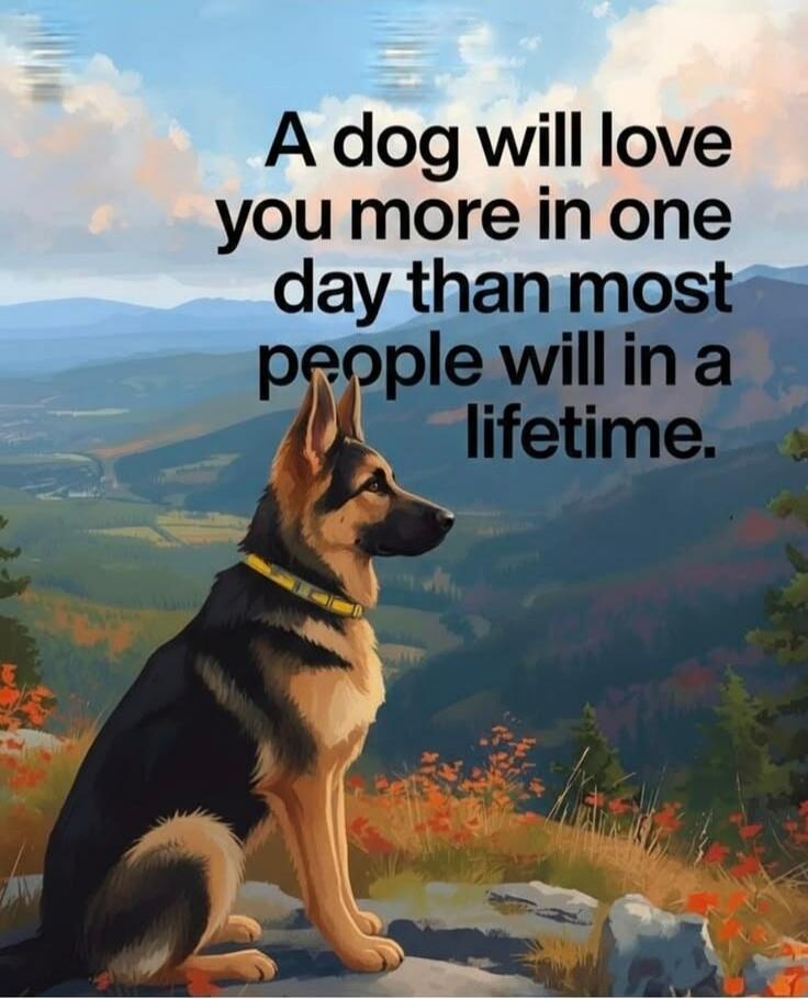 A dog will love you more in one day than most people will in a lifetime.