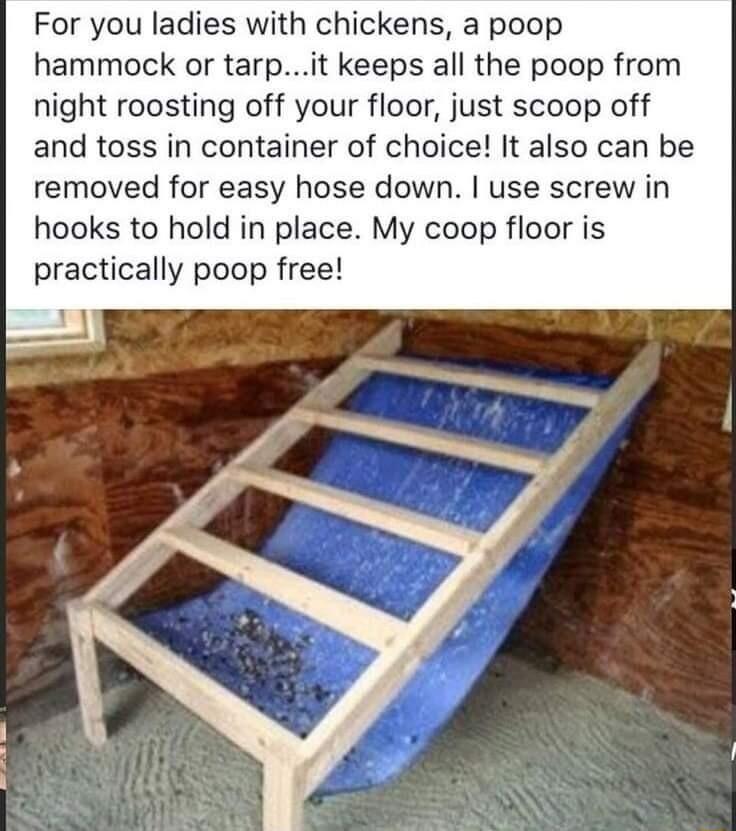 For you ladies with chickens a poop hammock or tarpit keeps all the poop from night roosting off your floor just scoop off and toss in container of choice It also can be removed for easy hose down use screw in hooks to hold in place My coop floor is practically poop free