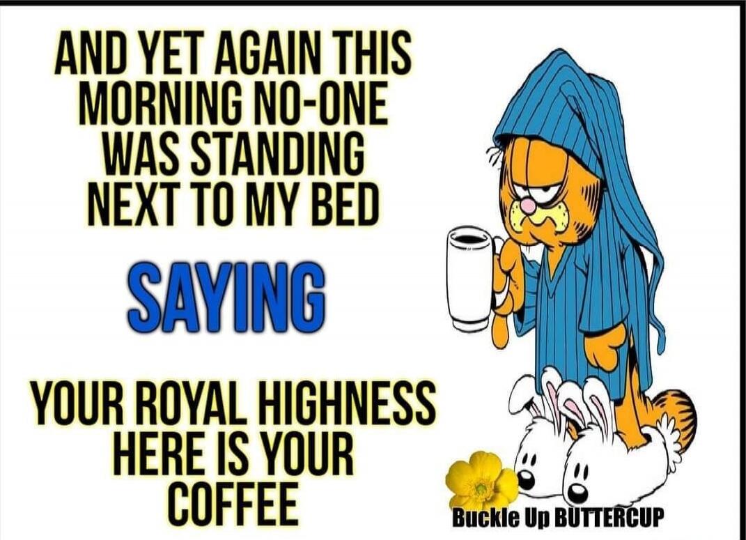 AND YET AGAIN THIS MORNING NO-ONE WAS STANDING NEXT TO MY BED SAYING YOUR ROYAL HIGHNESS HERE IS YOUR COFFEE
