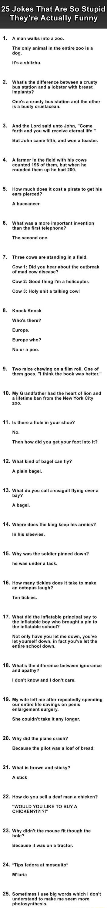 25 Jokes That Are So Stupid ULV A G TEN AT 1Y 1 Aman walks into a zoo The only animal in the entire zoo is a dog Its a shitzhu 2 Whats the difference between a crusty bus station and a lobster with breast implants Ones a crusty bus station and the other is a busty crustacean 3 And the Lord said unto John Come forth and you will receive eternal life But John came fifth and won a toaster 4 Afarmer i