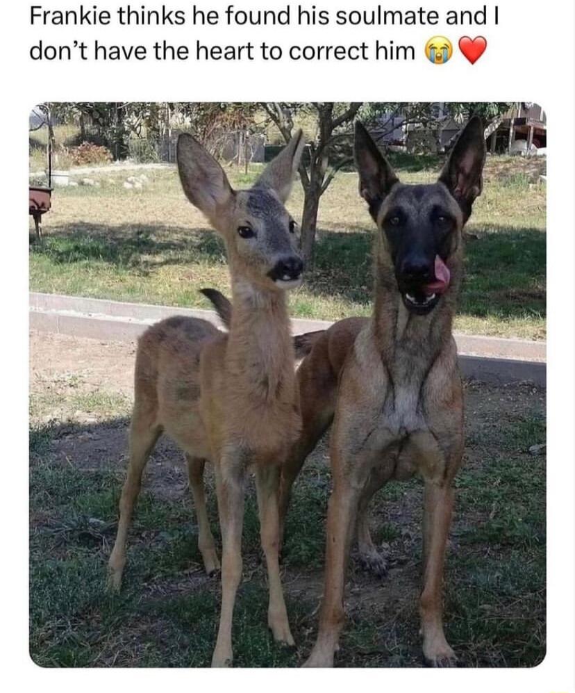 Frankie thinks he found his soulmate and dont have the heart to correct him