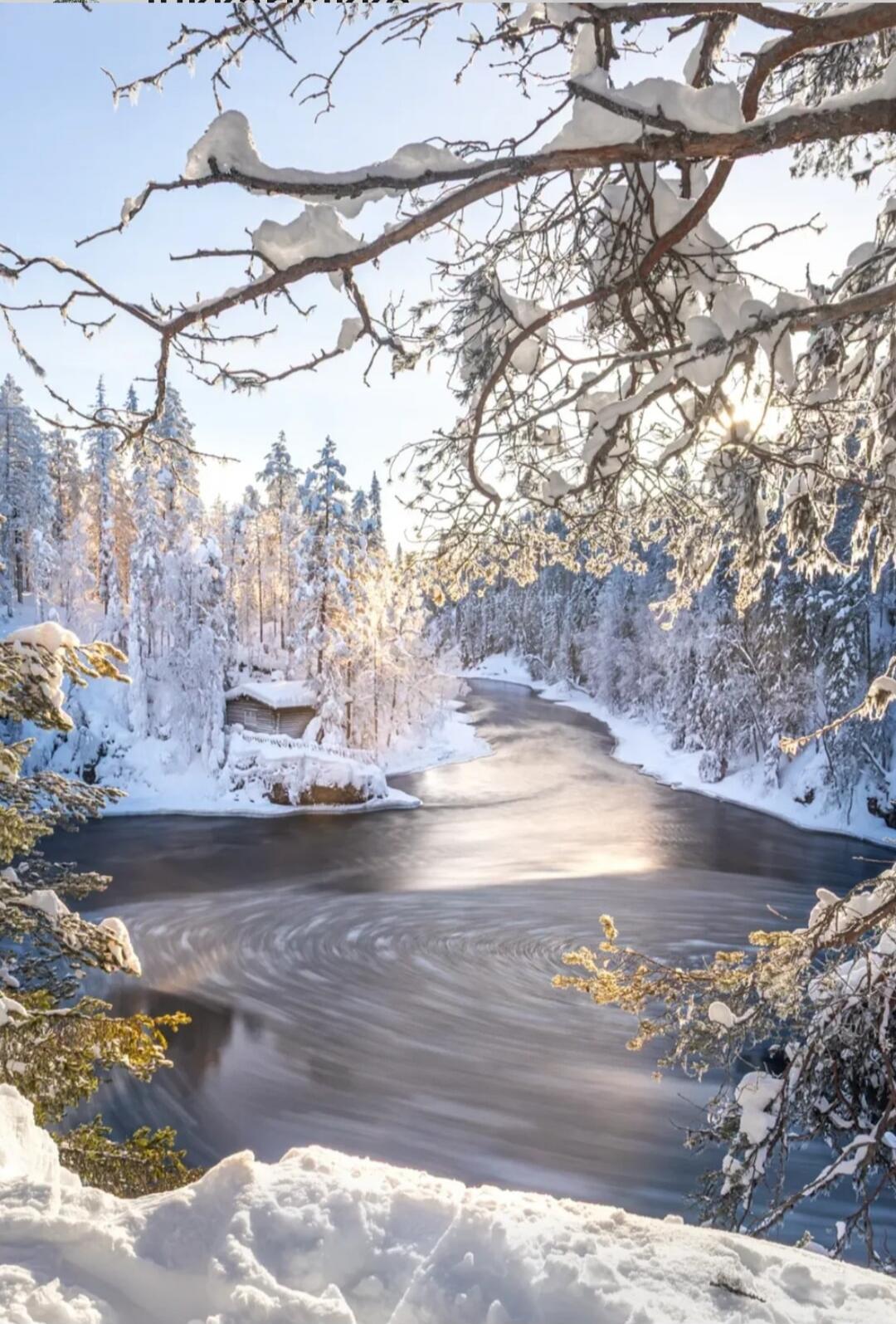 Session ID: 1033018.