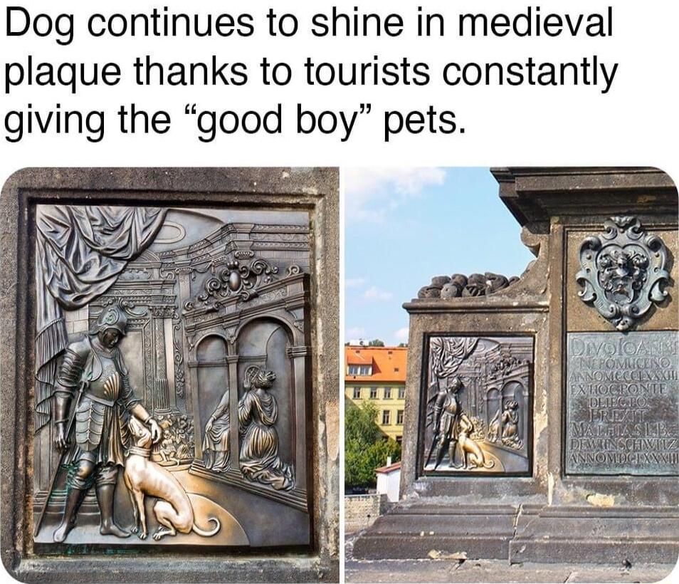 Dog continues to shine in medieval plaque thanks to tourists constantly giving the good boy pets