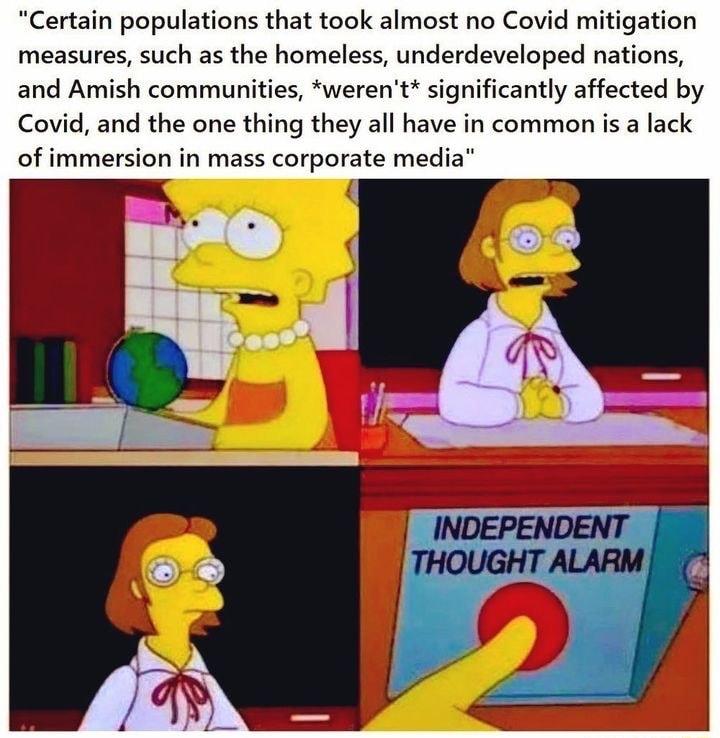 Certain populations that took almost no Covid mitigation measures such as the homeless underdeveloped nations and Amish communities werent significantly affected by Covid and the one thing they all have in common is a lack of immersion in mass corporate media