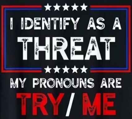 I IDENTIFY AS A THREAT MY PRONOUNS ARE TRY/ME
