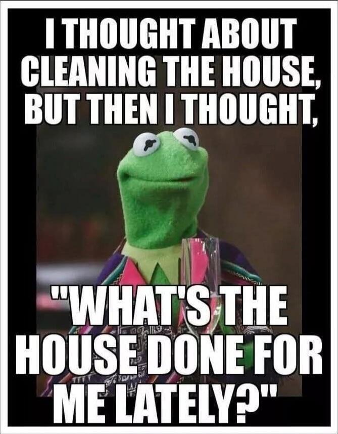 I THOUGHT ABOUT CLEANING THE HOUSE, BUT THEN I THOUGHT, 