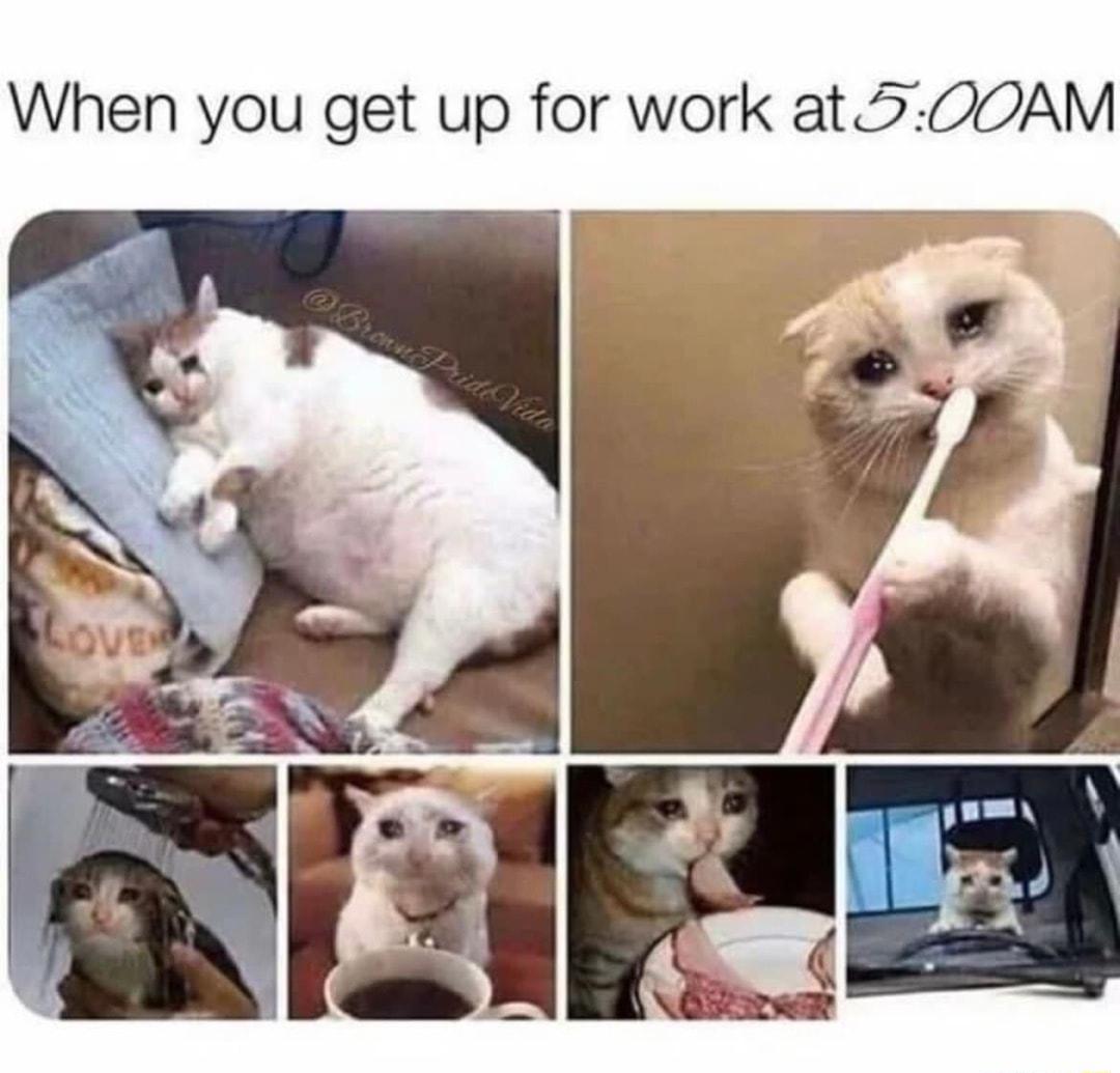 When you get up for work at500AM