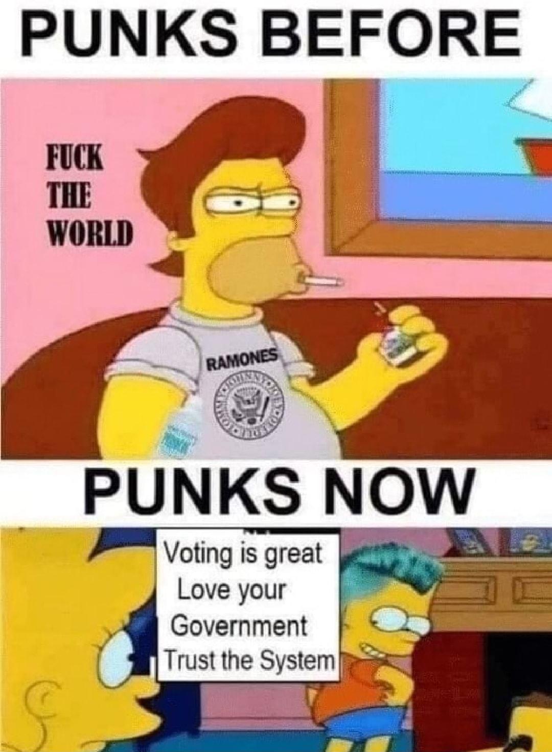 PUNKS BEFORE Votlng Is great Love your Government