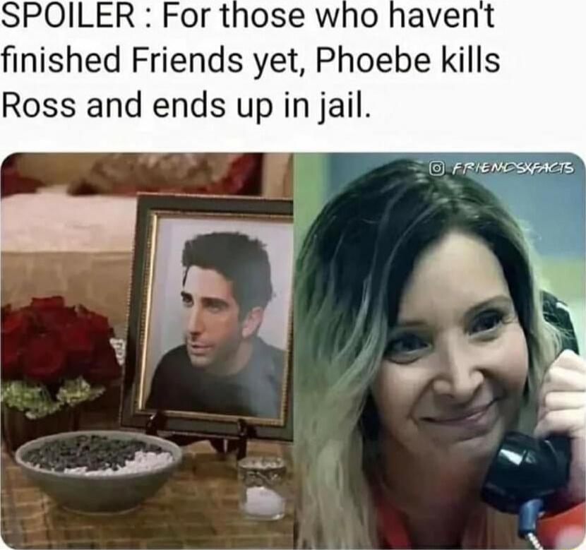 SPOILER For those who havent finished Friends yet Phoebe kills Ross and ends up in jail